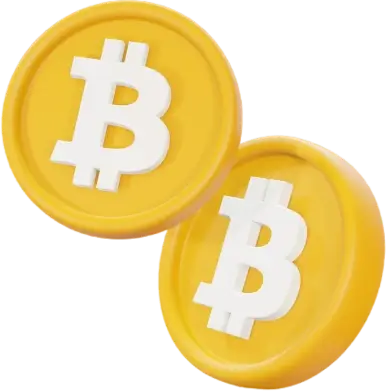 Bitcoin Code - Präsentation der Exzellenz unseres herausragenden Teams: Antrieb für unerreichten Erfolg